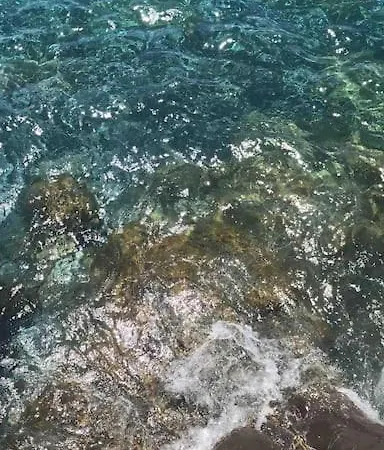 Vista Portofino *