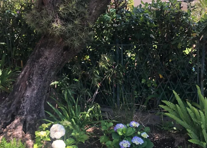 Apartmán Vista Portofino